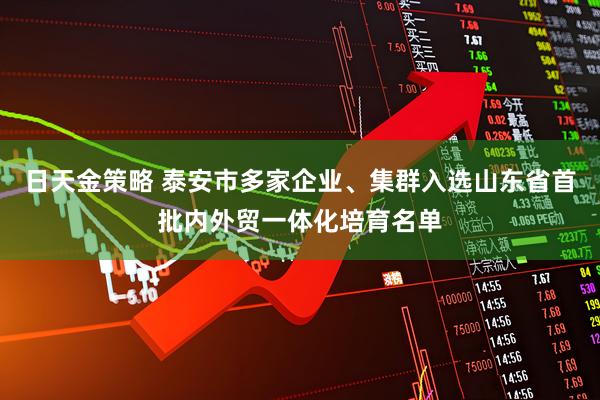 日天金策略 泰安市多家企业、集群入选山东省首批内外贸一体化培育名单