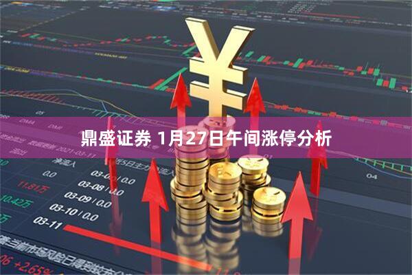 鼎盛证券 1月27日午间涨停分析
