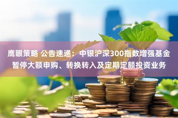 鹰眼策略 公告速递：中银沪深300指数增强基金暂停大额申购、转换转入及定期定额投资业务