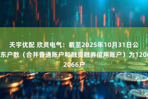 天宇优配 欣灵电气：截至2025年10月31日公司股东户数（合并普通账户和融资融券信用账户）为12066户